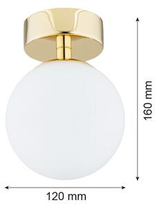 Argon 4004 - Lumină plafon baie FLAVIO 1xE14/7W/230V IP44