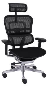 Scaun de birou Ergohuman 2 Elite BT Black
