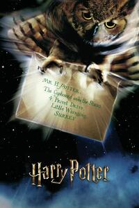 Poster de artă Harry Potter - Hedwig