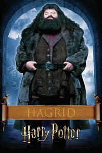 Poster de artă Harry Potter - Hargrid, (26.7 x 40 cm)