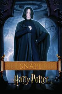 Poster de artă Harry Potter - Snape, (26.7 x 40 cm)