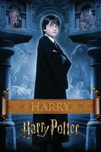 Poster de artă Harry Potter - Harry, (26.7 x 40 cm)