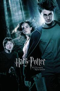 Poster de artă Harry Potter - Prisoner of Azkaban