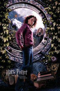 Poster de artă Harry Potter - Hermione, (26.7 x 40 cm)