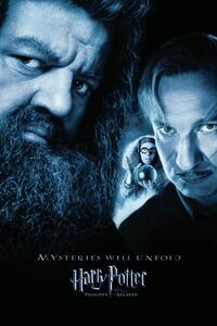 Poster de artă Harry Potter - Hagrid & Lupin