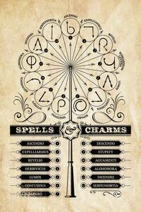 Poster de artă Harry Potter - Spells Charms