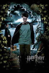 Poster de artă Harry Potter - Harry, (26.7 x 40 cm)