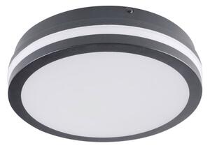 Corp de iluminat LED de exterior Brilagi BENE LED/18W/230V d. 22 cm IP54