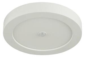 Globo 41605-18S - LED Plafonieră exterior cu senzor PAULA 1xLED/18W/230V
