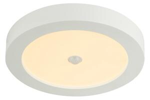 GLOBO 41605-18S - Plafonieră LED de exterior cu senzor PAULA LED/18W/230V