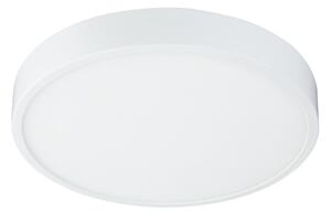 Globo 12364-30 - LED plafonieră dimabilă LED/28W/230V