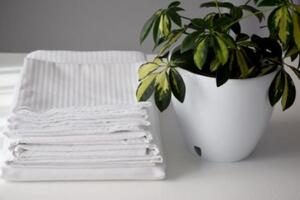 Set Cearsaf de pat 140x240 cm si 2 fete de perna 50x70 cm, bumbac 100%, damasc dungi subtiri, alb