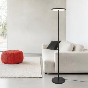 Viokef Lampadar LED Demy, negru, înălțime 170 cm, metal, Negru, Camera de zi / sufragerie, Aluminiu, Modern