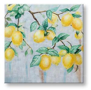 Tablou pictat pe perete CITRONS 1 parte 60x60 cm CWF1840SDE1