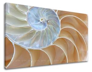 Tablouri canvas ABSTRACT AB092E11