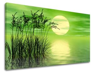 Tablouri canvas ABSTRACT AB119E11