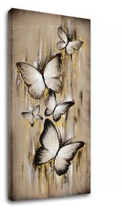 Tablouri canvas FLUTURI XOBAM043E1