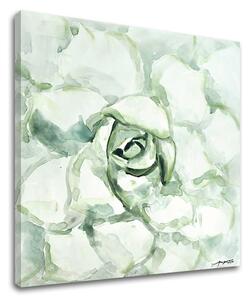 Tablouri canvas FLOARE 1 - piesa XOBCH12530GE1