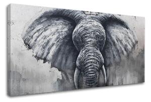 Tablouri canvas ELEFANT 1 - piesa XOBCH13AN0025SET - E1