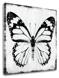 Tablouri canvas FLUTURII 1 - piesa XOBCH20463FDE1