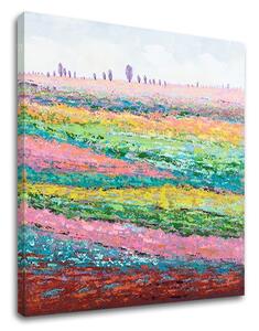 Tablouri canvas PEISAJE 1 - piesa XOBCHLN002