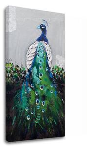 Tablouri canvas PĂUN 1 - piesa XOBCHZH4048E1