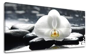 Tablouri canvas FENG SHUI Panorama FS018E13