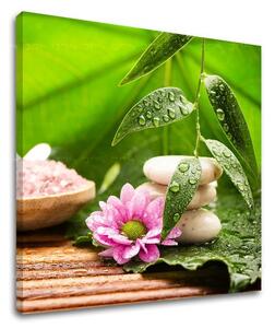 Artă de perete FENG SHUI FS021E12