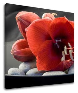 Artă de perete FENG SHUI FS032E12