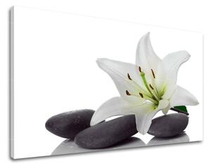 Tablouri canvas FENG SHUI FS029E11