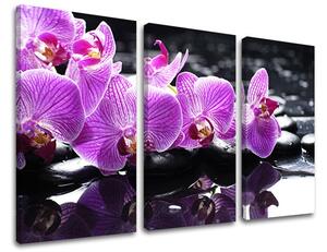 Tablouri canvas 3 - piese FENG SHUI FS024E30