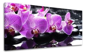 Tablouri canvas FENG SHUI Panorama FS024E13