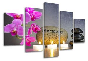 Tablouri canvas 5 - piese FENG SHUI FS023E50