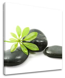 Artă de perete FENG SHUI FS041E12