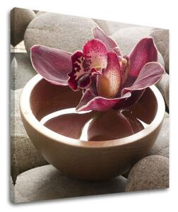 Artă de perete FENG SHUI FS039E12