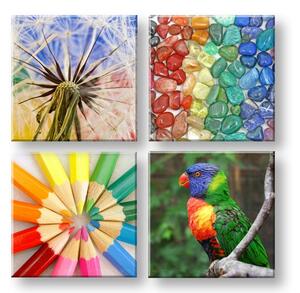 Tablou canvas Colorful vibes colaj 4 piese XOBKOL20E42