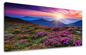 Tablouri canvas PEISAJE Panorama KR006E13