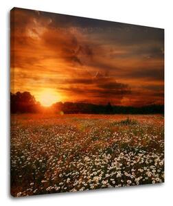 Pictura de perete LAND KR035E12