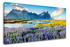 Tablouri canvas PORT_047 - 13