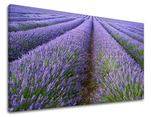 Tablouri canvas PEISAJE KR039E11