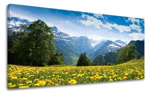 Tablouri canvas PEISAJE Panorama KR036E13