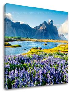 Tablouri canvas PORT_047 - 12