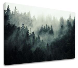 Tablouri canvas MUNȚI_
