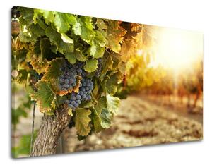 Tablouri canvas BUCĂTĂRIE KU016E11