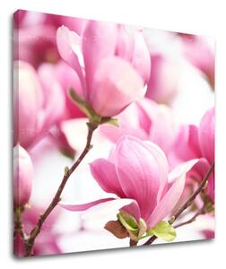 Pictură murală FLOWERS KV002E12