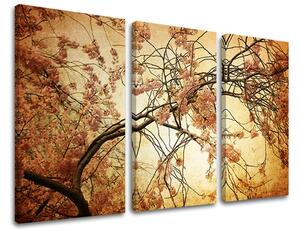 Tablouri canvas 3 - piese FLORI KV009E30