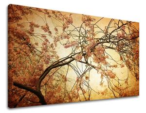 Tablouri canvas FLORI KV009E11