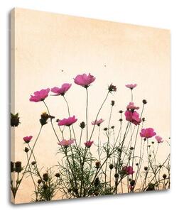 Pictură murală FLOWERS KV011E12