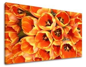 Tablouri canvas FLORI KV026E11