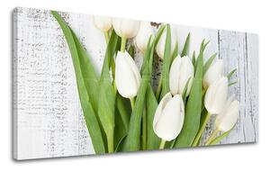 Tablouri canvas FLORI Panorama KV036E13